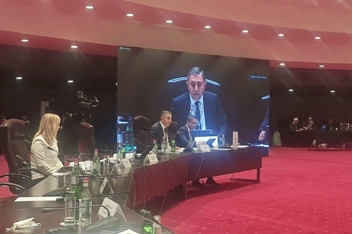Tahir Mirkişili, Milli Məclisin İqtisadi siyasət, sənaye və sahibkarlıq komitəsinin sədri