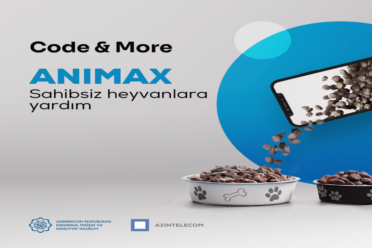 Sahibsiz heyvanların qidalandırılmasını asanlaşdıran həll hazırlanıb