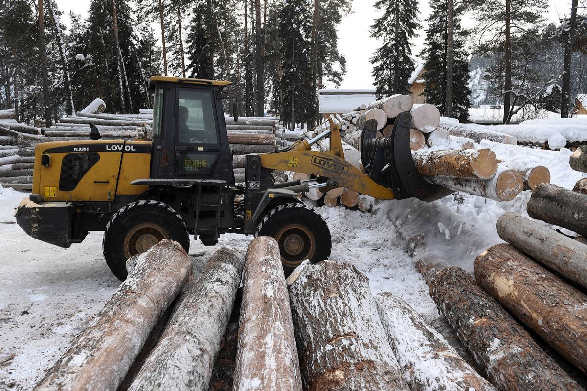 Russia expands lumber export restrictions