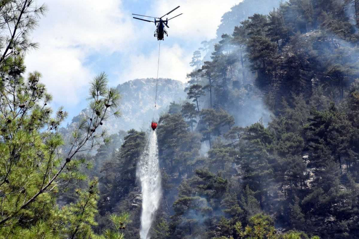 Turkey looks to boost air, volunteer force to fight forest fires