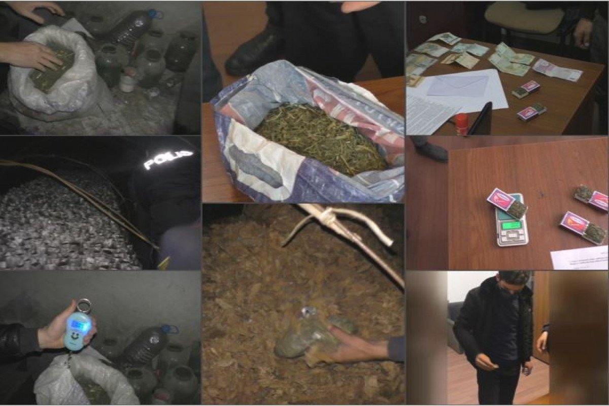 Balakəndə narkotiklərin qanunsuz dövriyyəsi ilə məşğul olan 9 nəfər saxlanılıb - VİDEO 