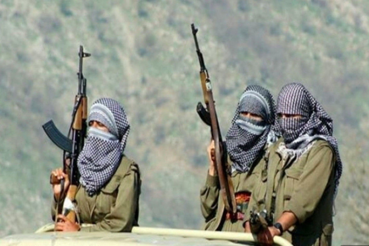 Türkiyə Ordusu 3 PKK terrorçusunu məhv edib