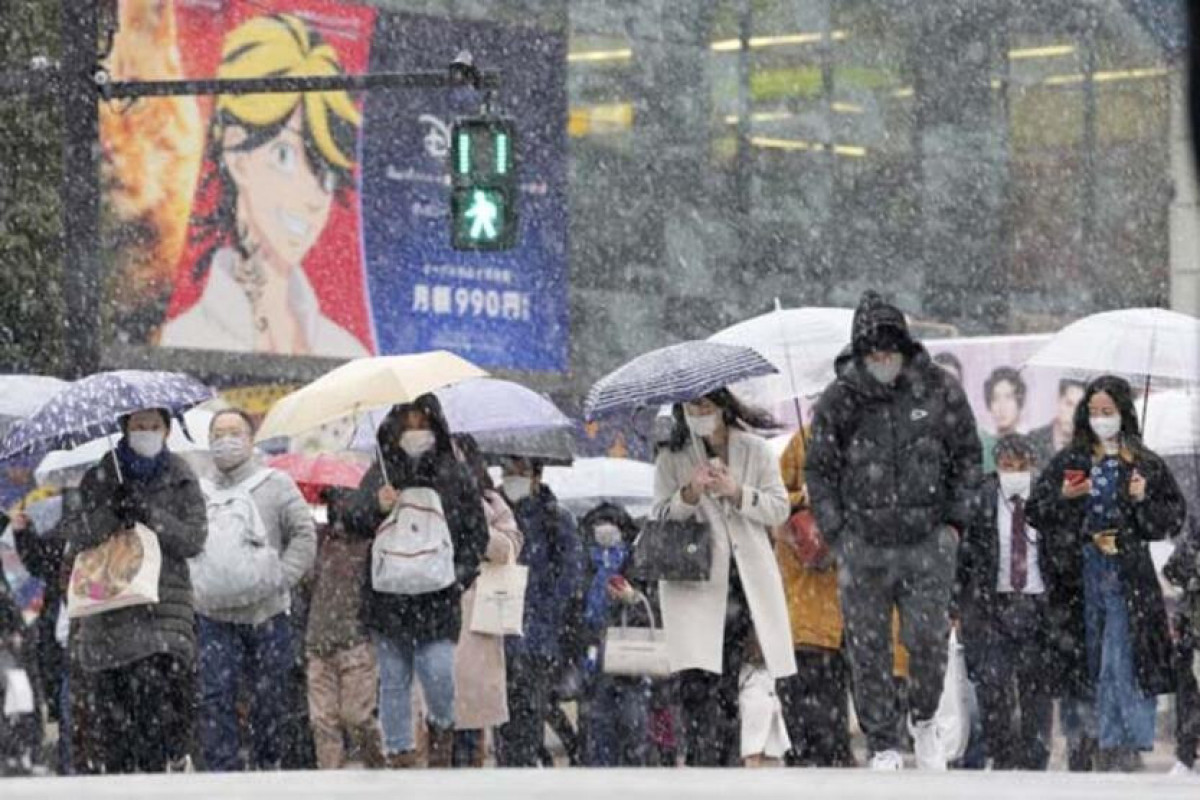 Yaponiyanın paytaxtı Tokioda güclü qar həyatı iflic edib - FOTO  - VİDEO 