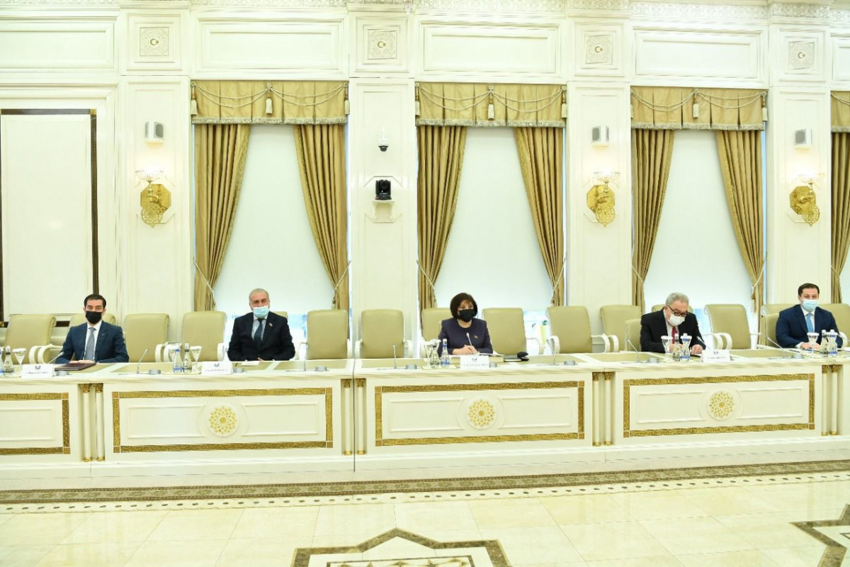 Сахиба Гафарова встретилась с председателем парламента Монтенегро