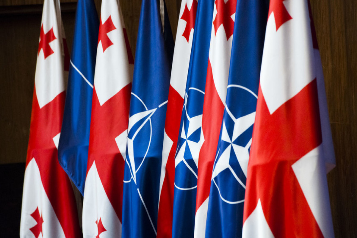 В Тбилиси заявили, что НАТО не изменит планов по принятию Грузии в альянс