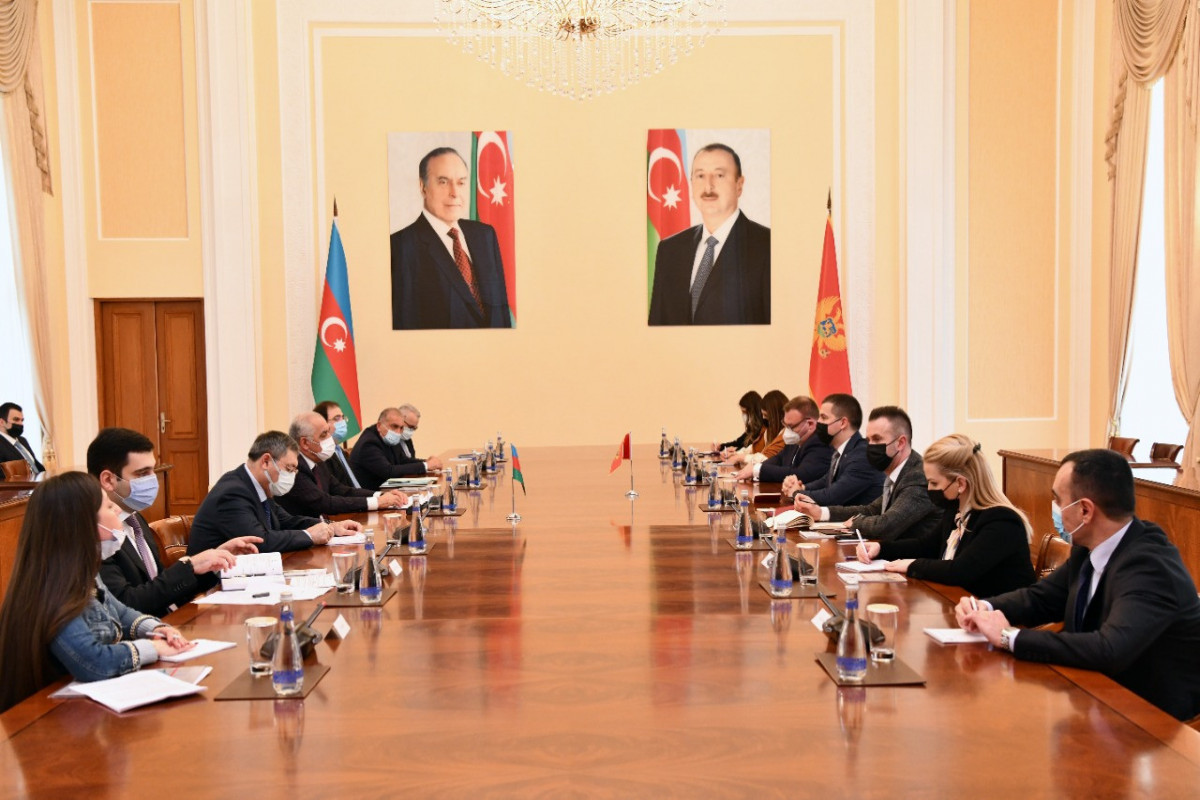 Azerbaijan’s PM meets with Speaker of the Montenegrin Parliament