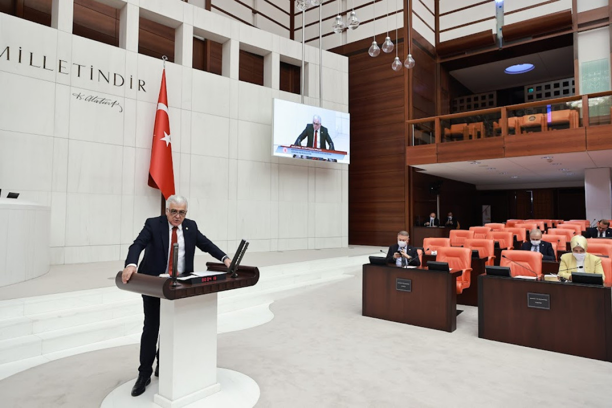 Turkish Grand National Assembly commemorates martyrs of Jan 20