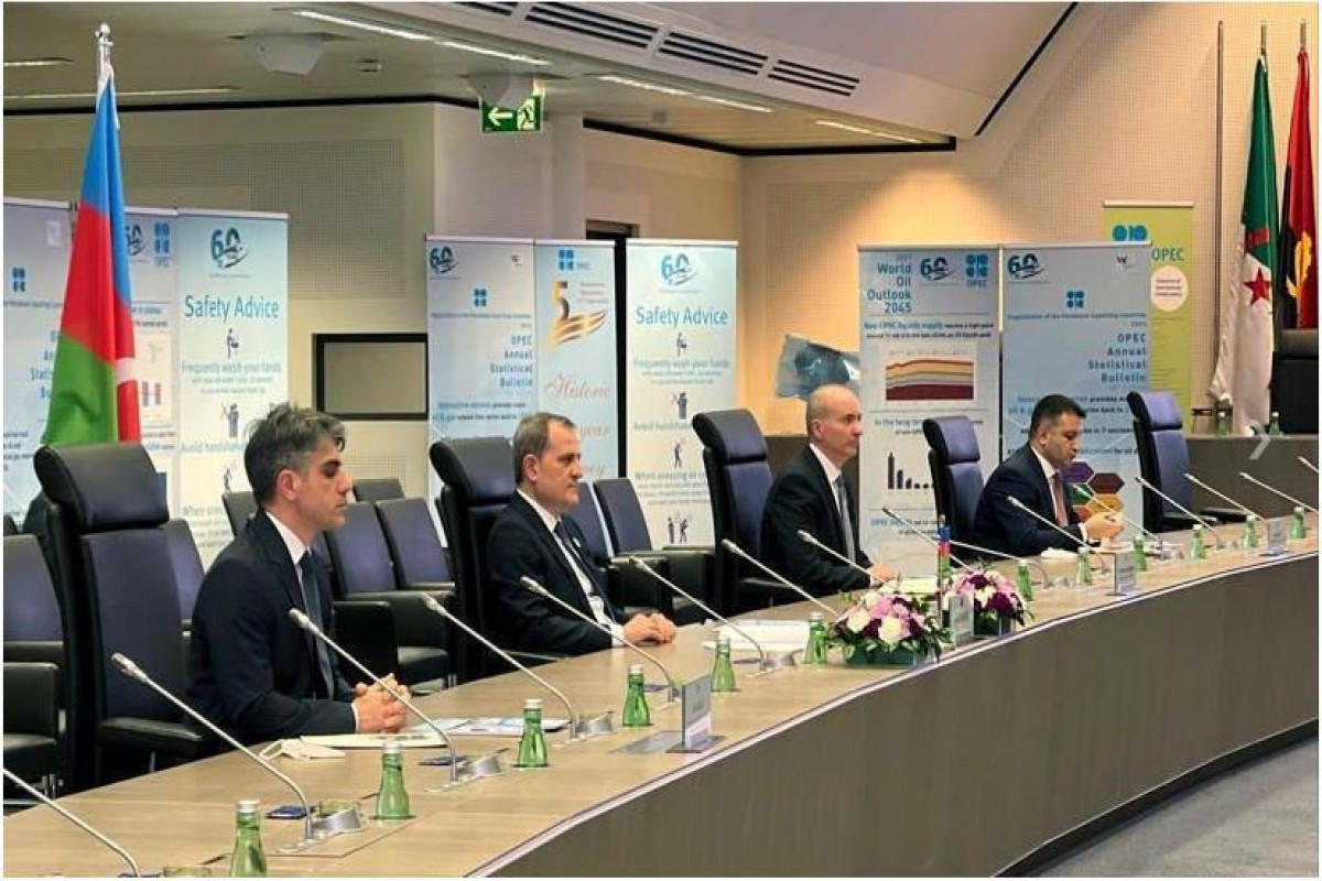 Министр иностранных дел Азербайджана встретился с генеральным секретарем ОПЕК