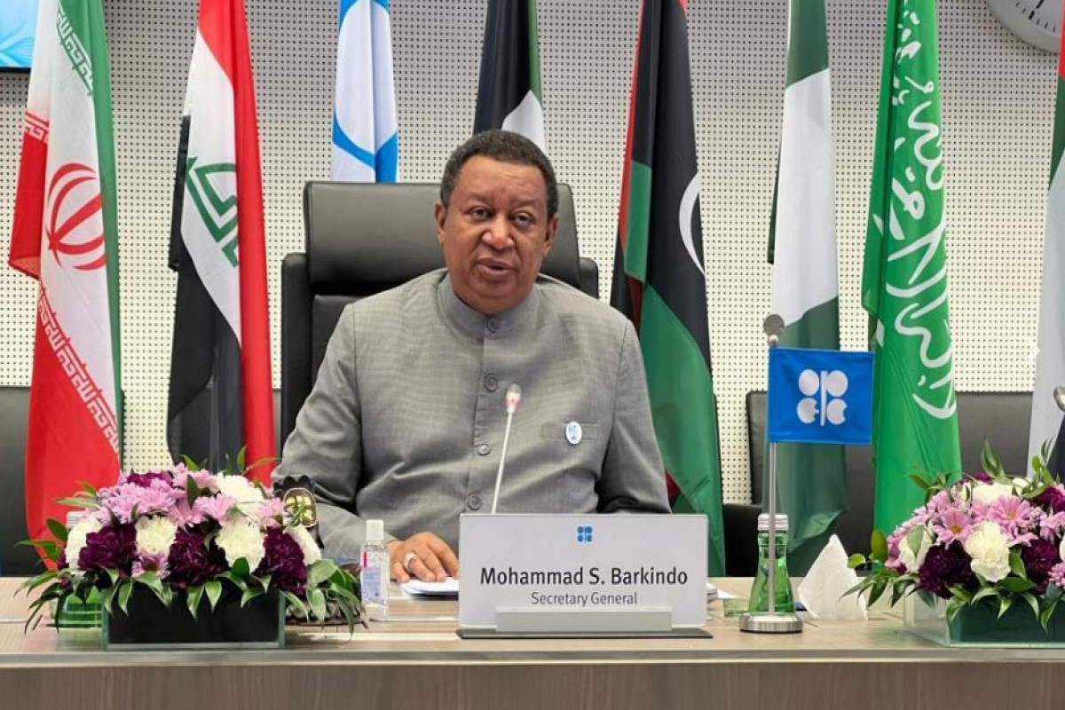 Secretary General of the Organization of the Petroleum Exporting Countries (OPEC) Mohamed Barkindo