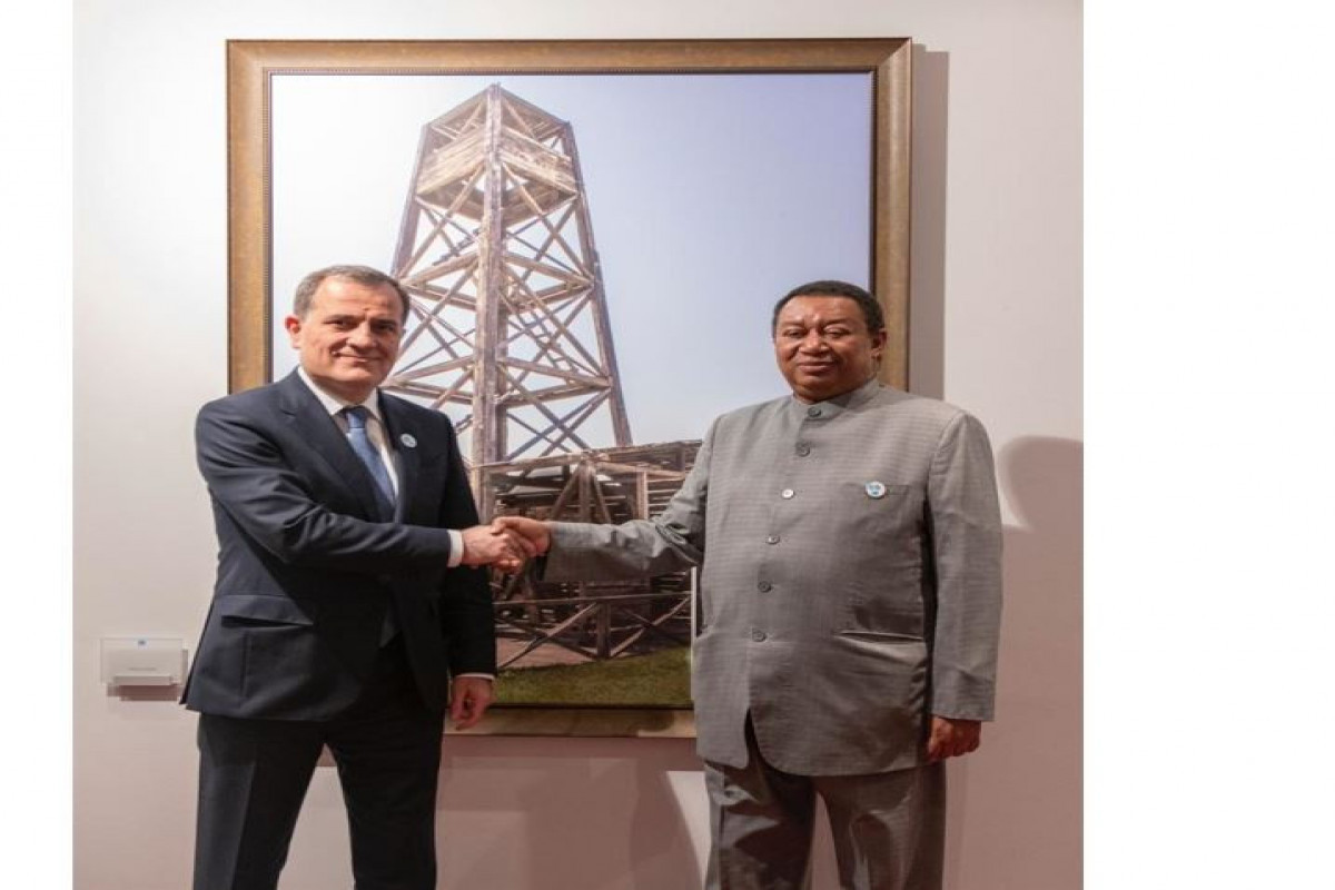 Azerbaijani Foreign Minister Jeyhun Bayramov met with Secretary General of the Organization of the Petroleum Exporting Countries (OPEC) Mohamed Barkindo