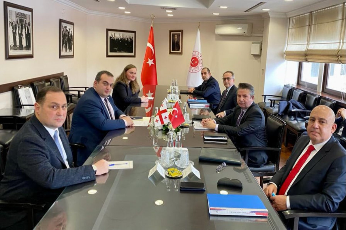 Политические консультации между делегациями министерств иностранных дел Турции и Грузии