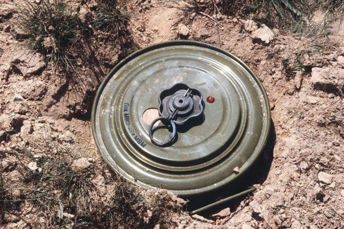 Demining of tourism zones in liberated areas to start