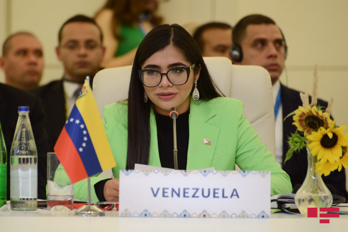 Vanessa Yunes Montero Lopez, Vice President of the National Assembly of Venezuela