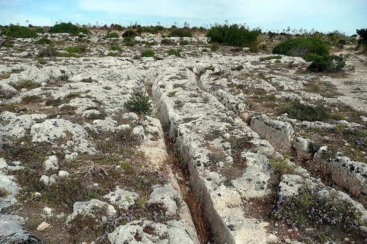 Минкульт и ИВ Хазарского района проведут осмотр «Каменных дорог» и других памятников в поселке Тюркан