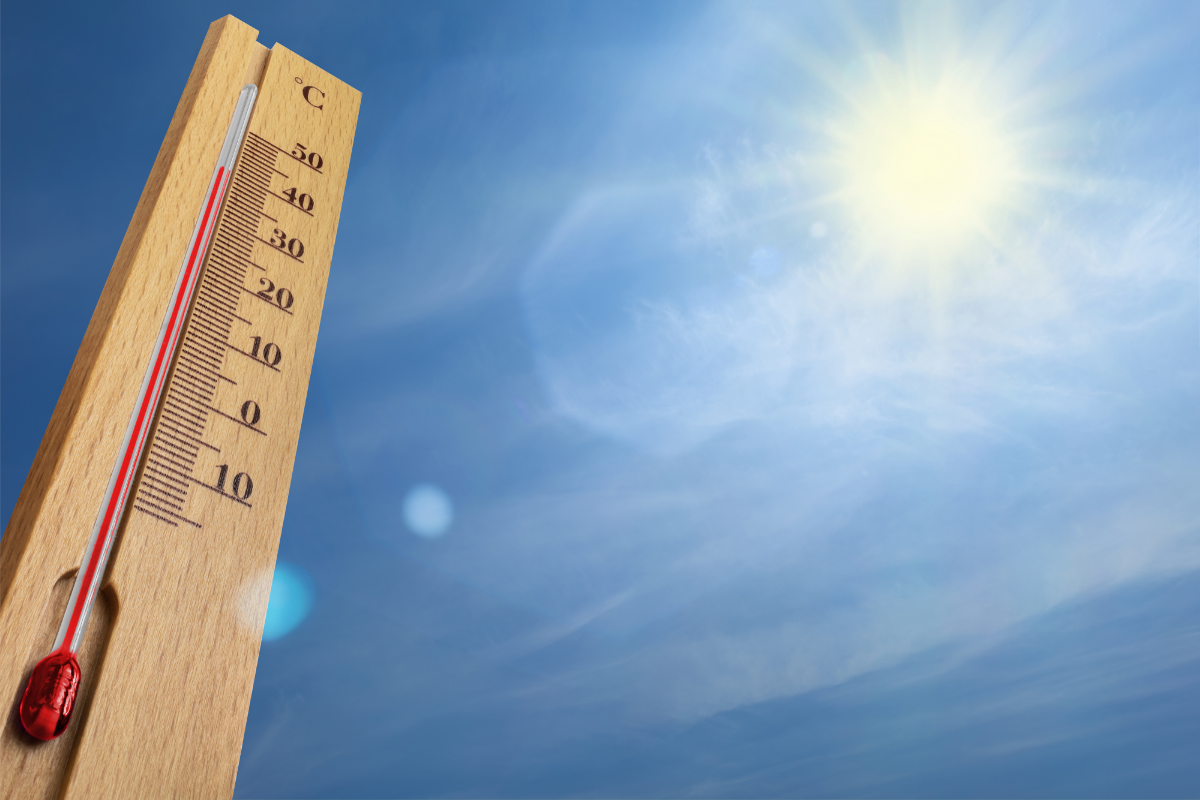 in-july-the-temperature-will-be-higher-than-the-climatic-norm-daily-news