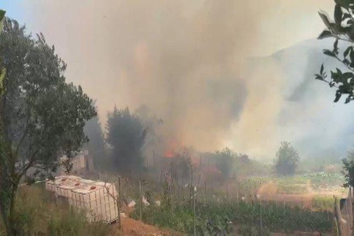 Лесной пожар в Стамбуле потушен -ОБНОВЛЕНО 