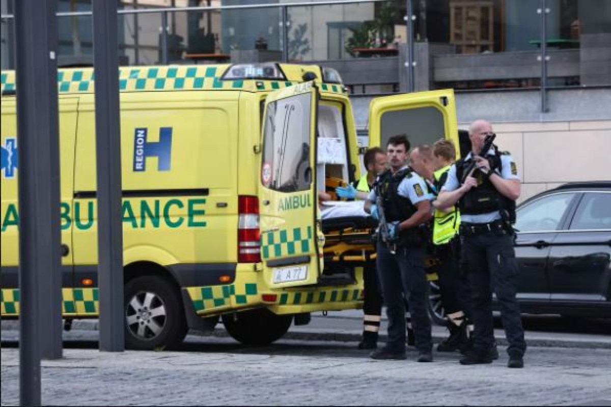 В Дании несколько человек погибли при стрельбе в торговом центре-<span class="red_color">ОБНОВЛЕНО