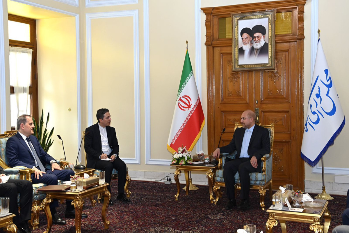 Azerbaijani FM meets with Chairman of Islamic Council of Iran