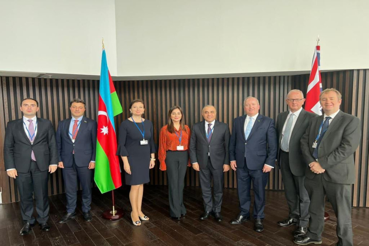 В ПА ОБСЕ состоялась встреча делегаций Азербайджана и Великобритании