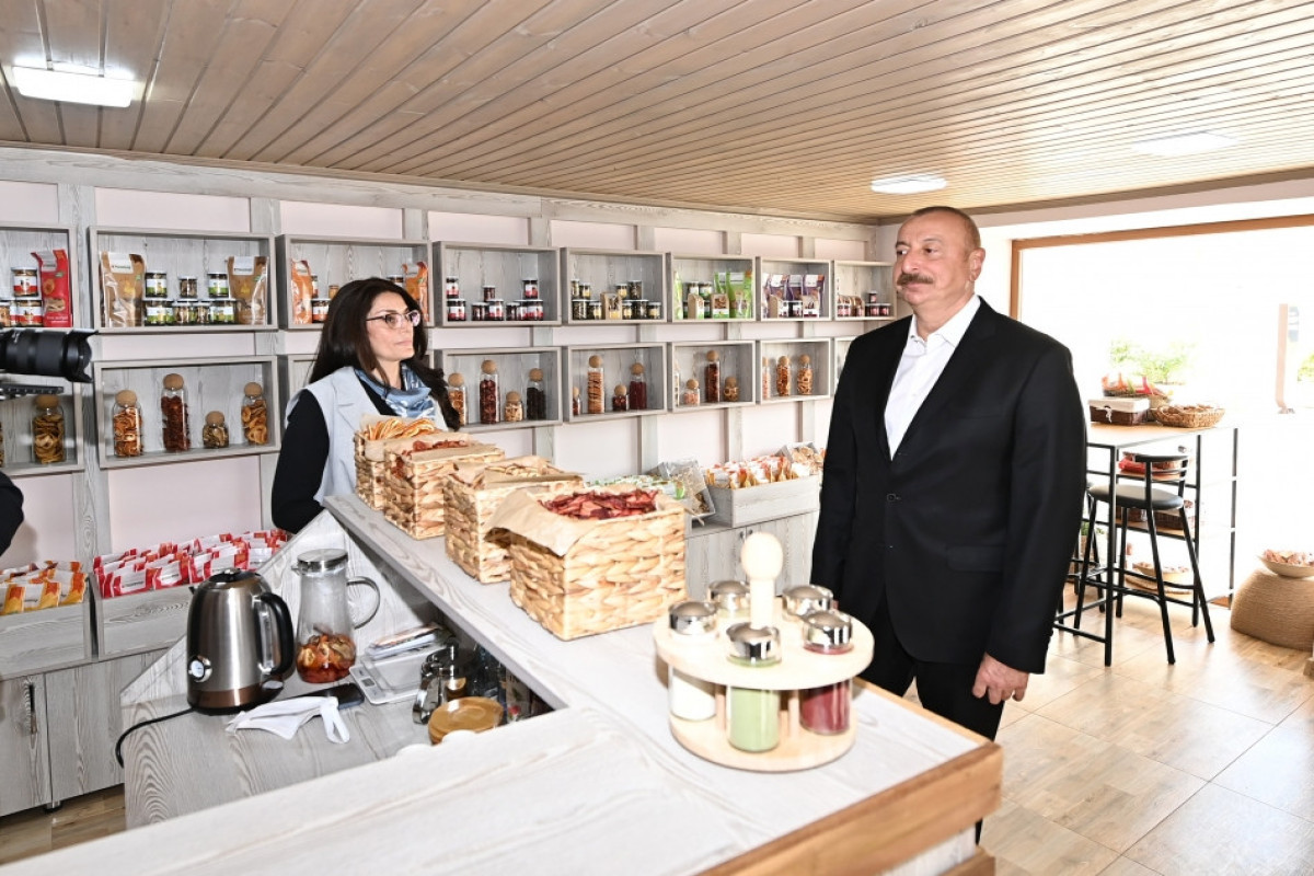 President Ilham Aliyev viewed landscaping work carried out in Ramana settlement
