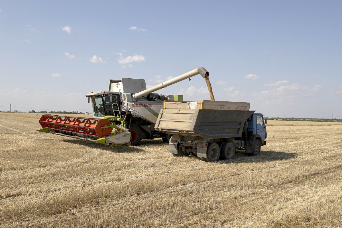 Ukraine expects to harvest 50 million tonnes of grain