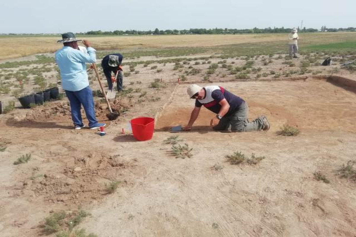 Azerbaijani-German joint expedition began archaeological research in Karabakh plain
