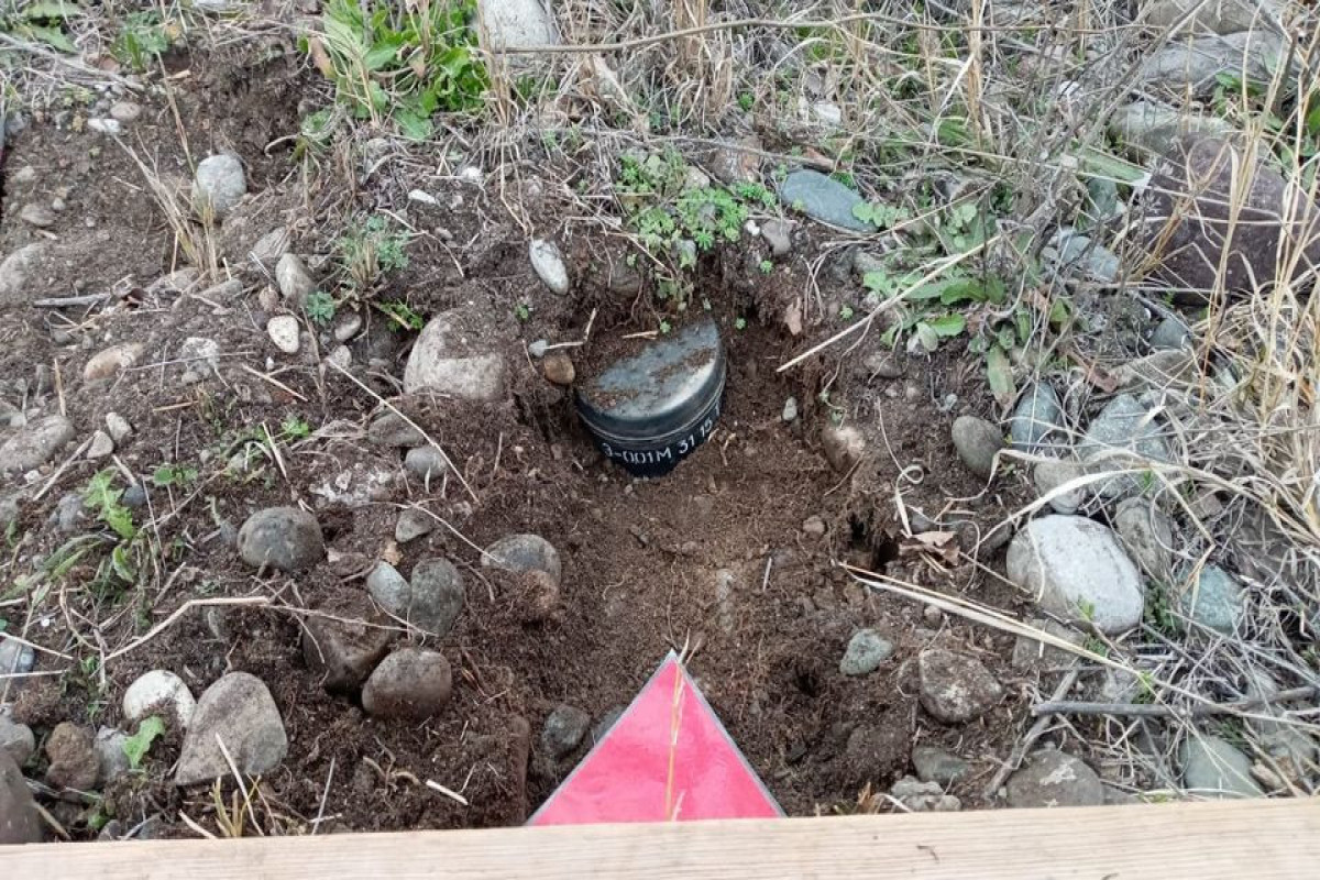ANAMA: Mostly, plastic-body landmines are found in liberated territories-PHOTO 