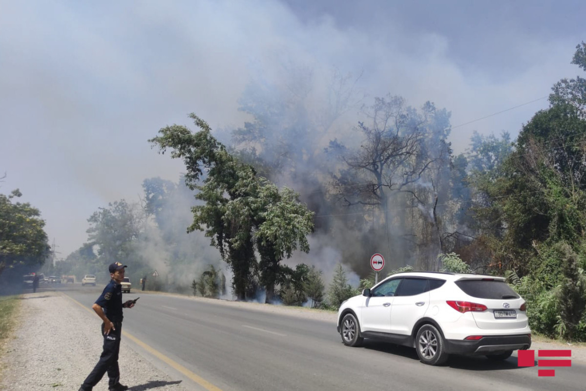 Forest fire in Azerbaijan's Khachmaz taken under control -PHOTO -VIDEO -UPDATED-5 