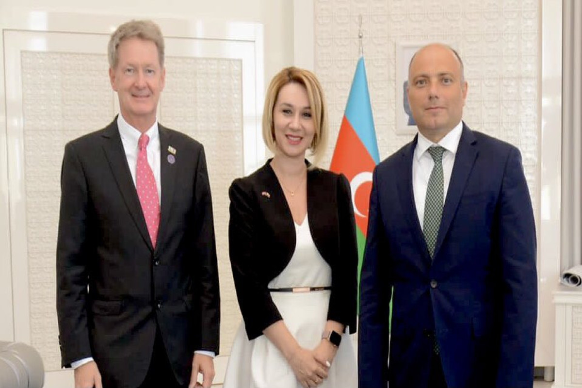 Anar Karimov met with British ambassador