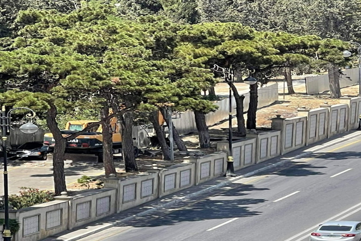 Şəhriyar adına park
