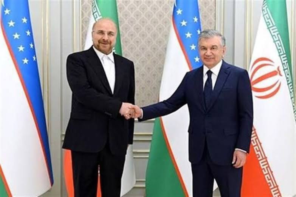 Спикер парламента Ирана встретился с президентом Узбекистана