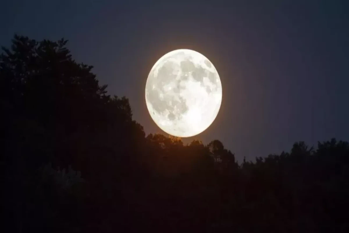 Supermoon was observed today
