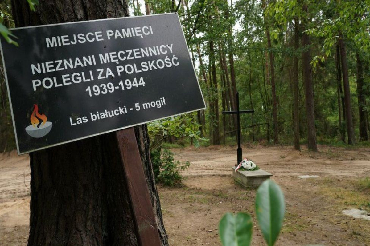 Ashes of 8,000 victims found in mass grave in Poland