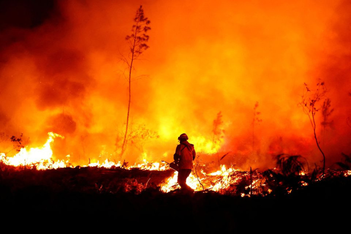 France girds for heat records as wildfires rage on