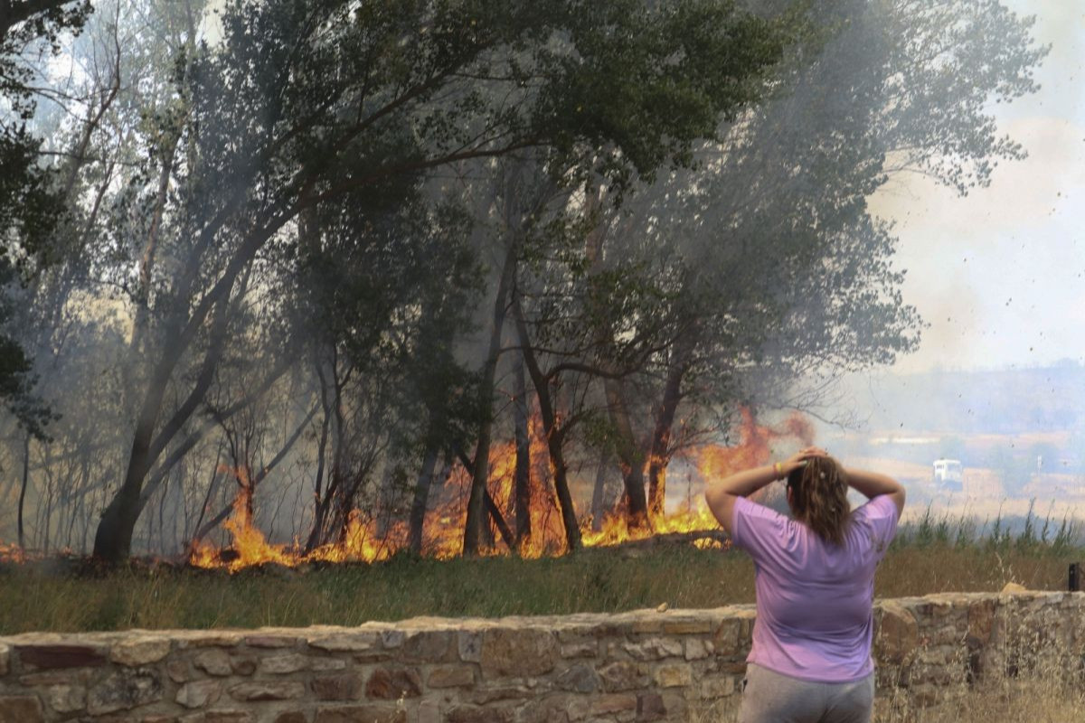İspaniyada və Portuqaliyada meşə yanğını nəticəsində mindən çox insan həlak olub - FOTO 