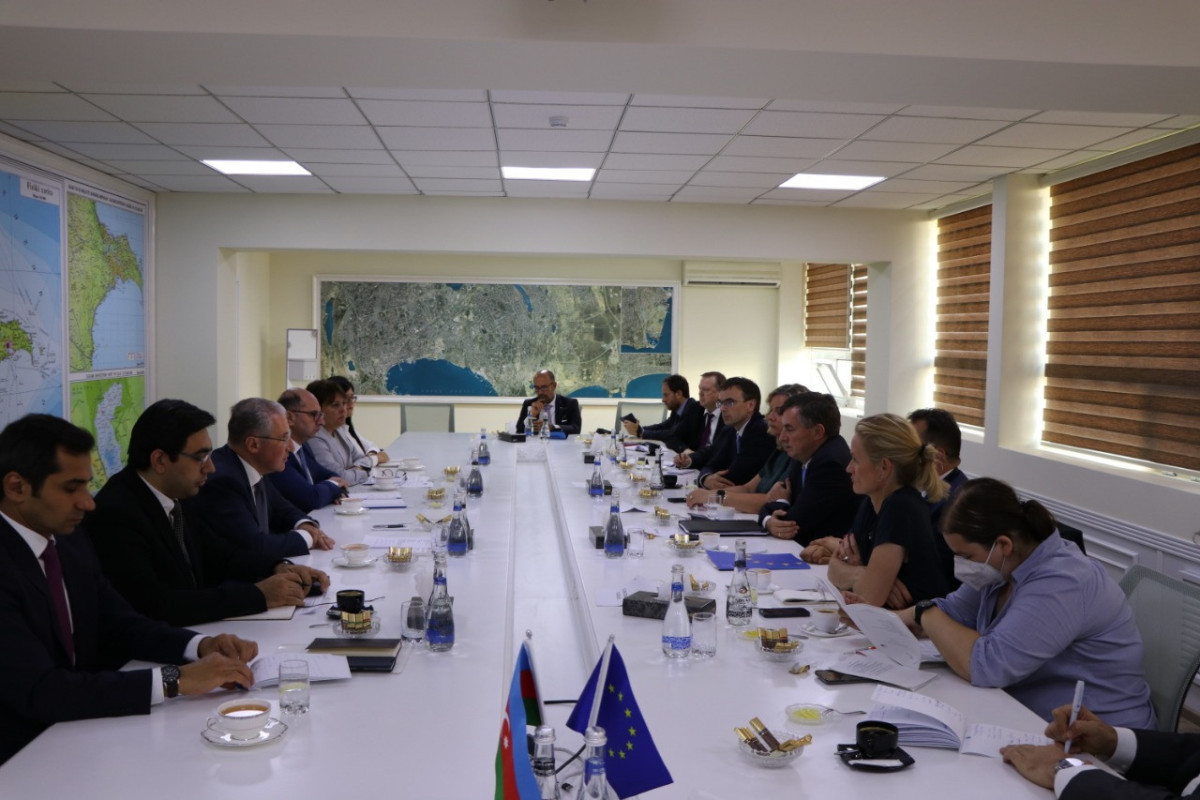 Мухтар Бабаев встретился с председателем комитета по международным делам Европарламента
