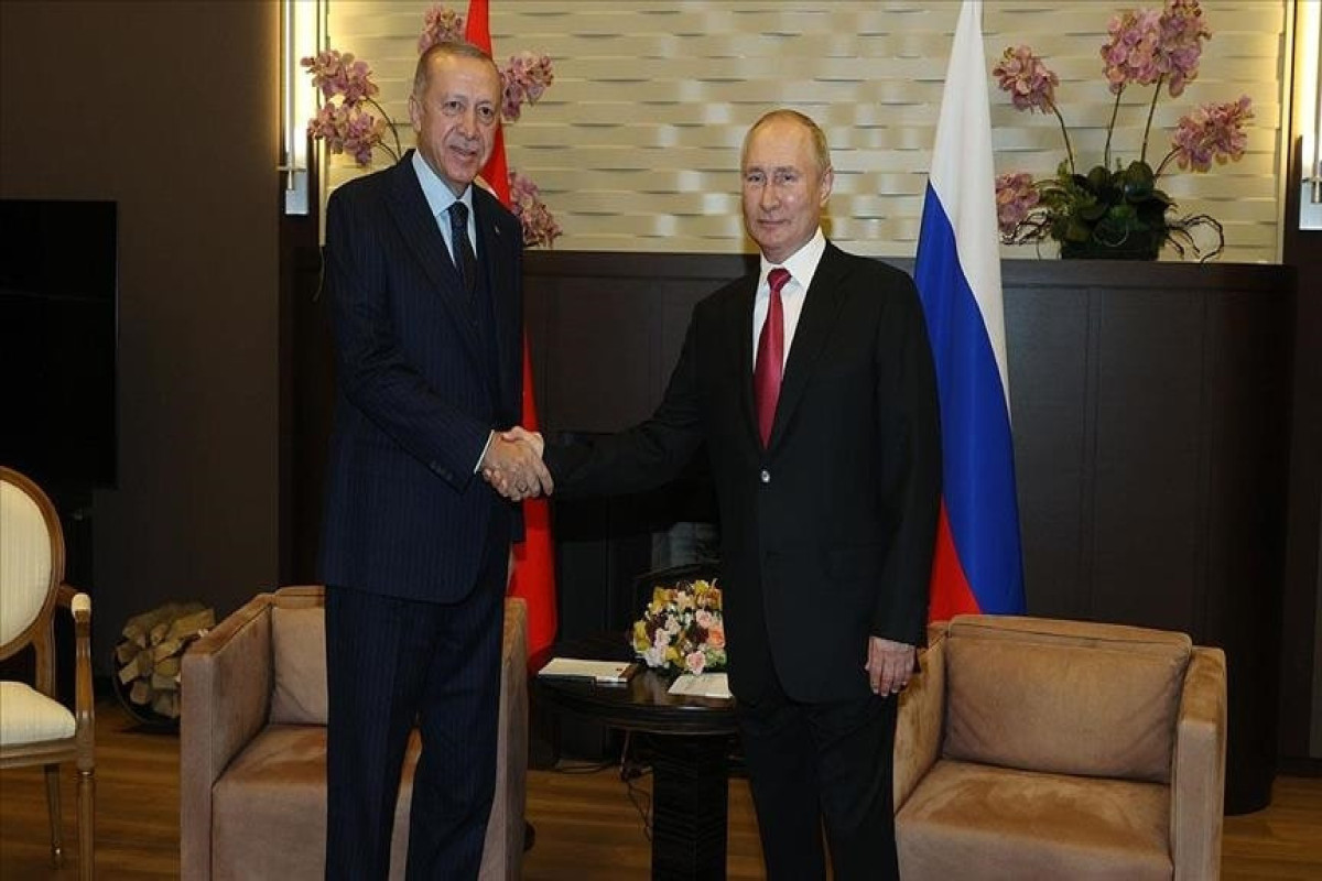 Президент Турции  Реджеп Тайип Эрдоган и президент РФ Владимир Путин