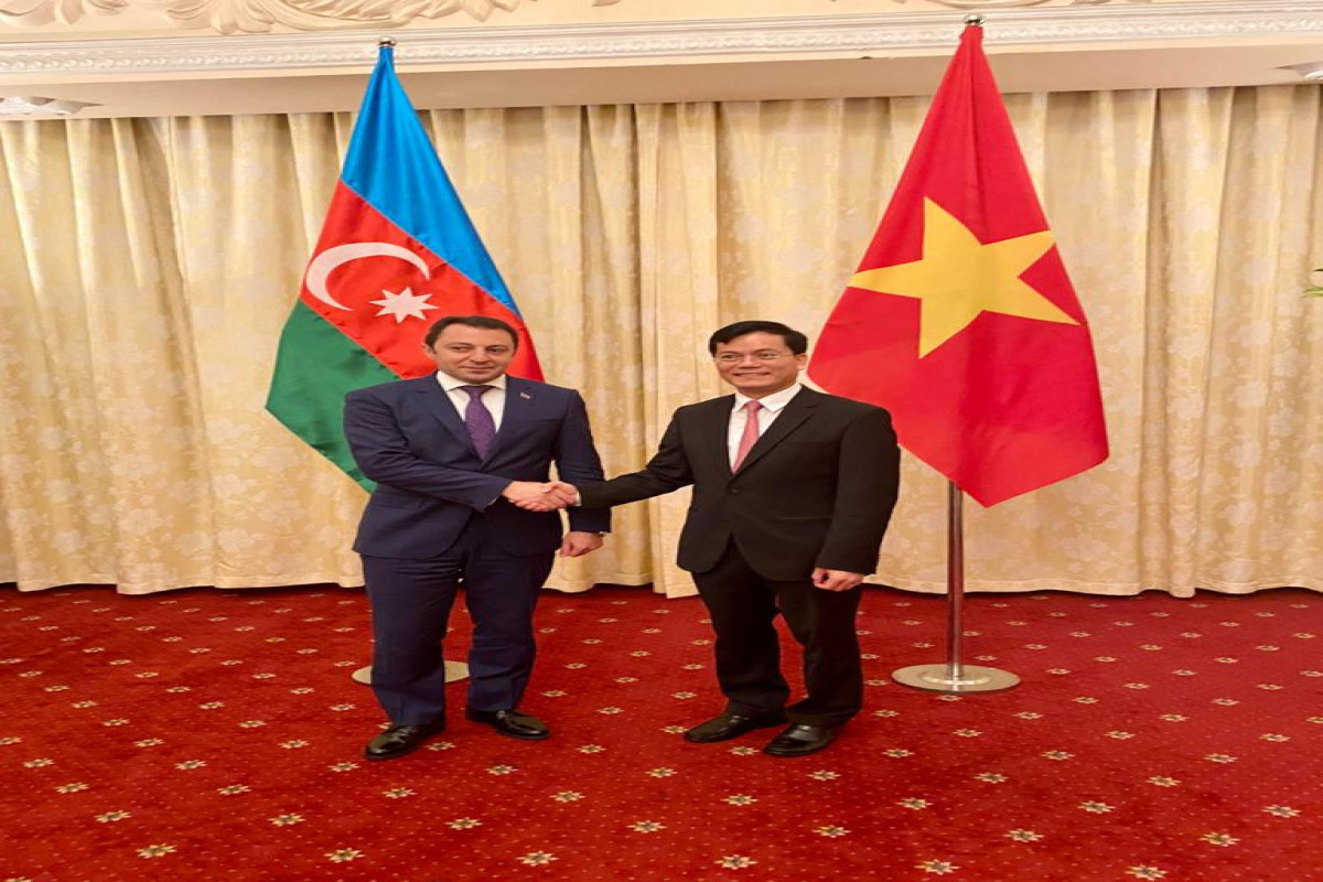 Azerbaijani, Vietnam MFAs hold political consultations
