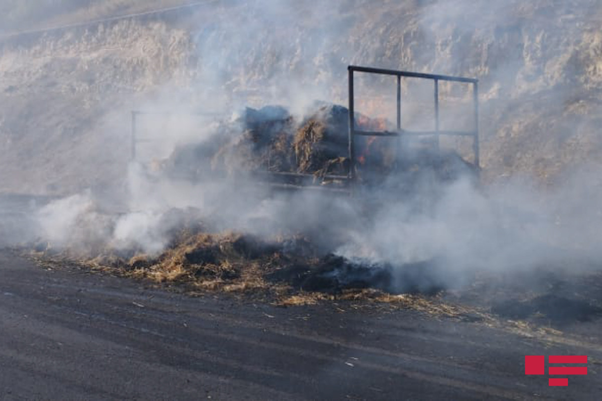МЧС: Пожар в Шамахы потушен, лес взят под охрану-ФОТО -ОБНОВЛЕНО 