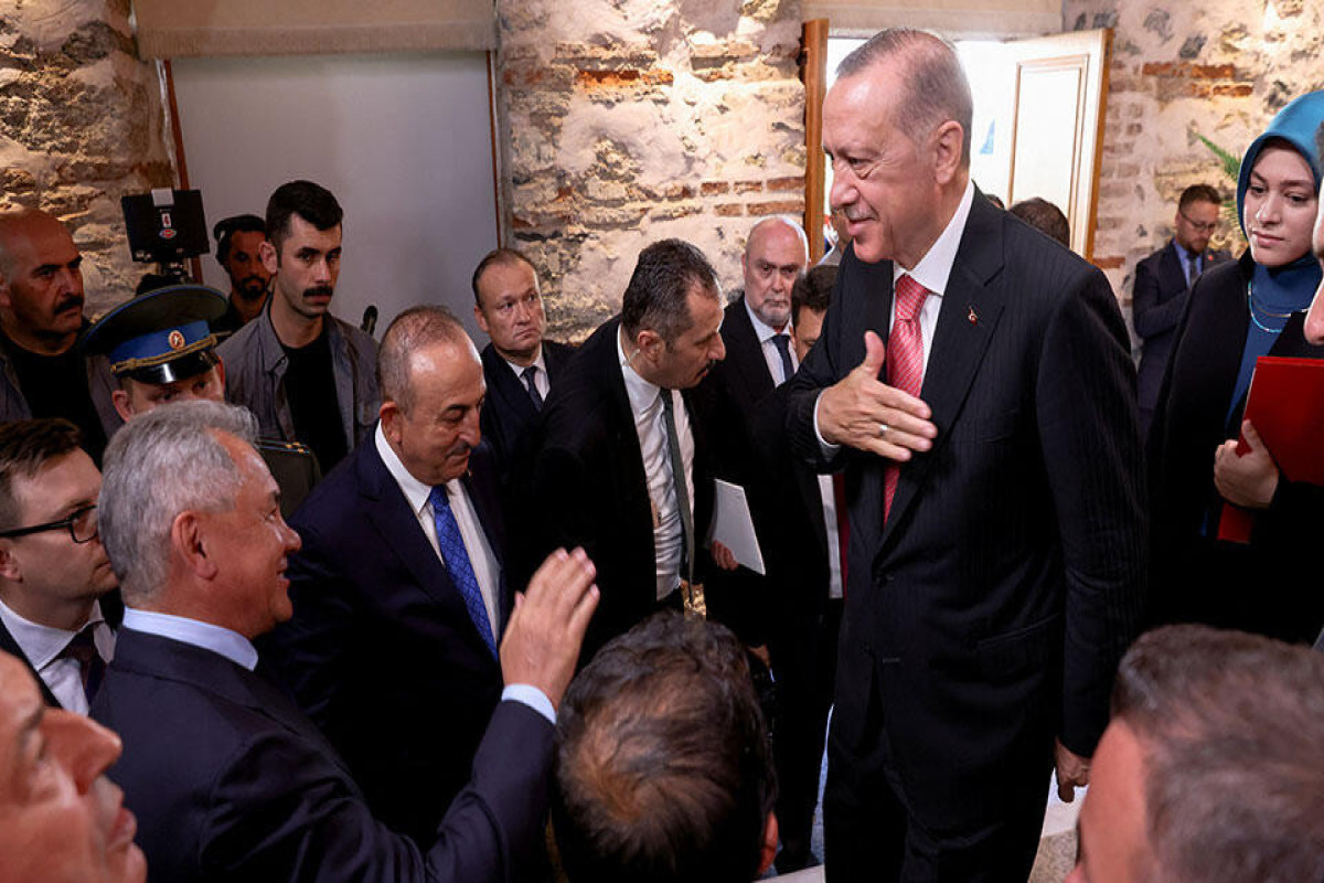 В Стамбуле состоялась краткая беседа Шойгу и Эрдогана