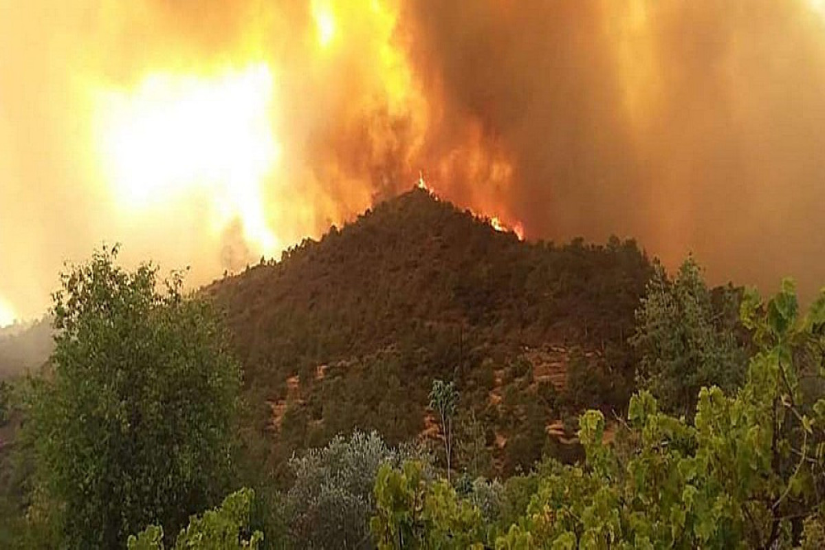 На Кипре вспыхнули пожары на фоне 40-градусной жары 