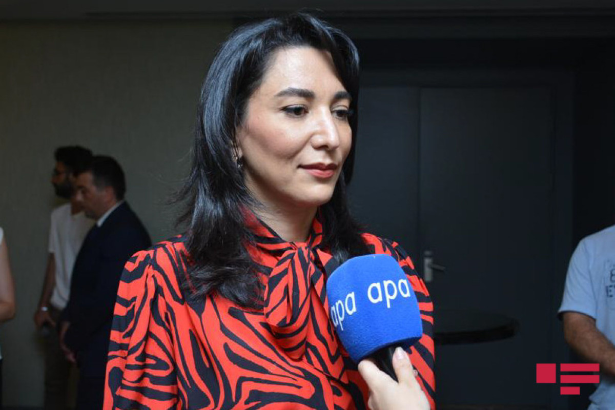 Səbinə Əliyeva, Ombudsman