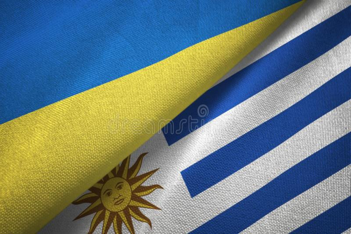 Зеленский впервые провел переговоры с президентом Уругвая