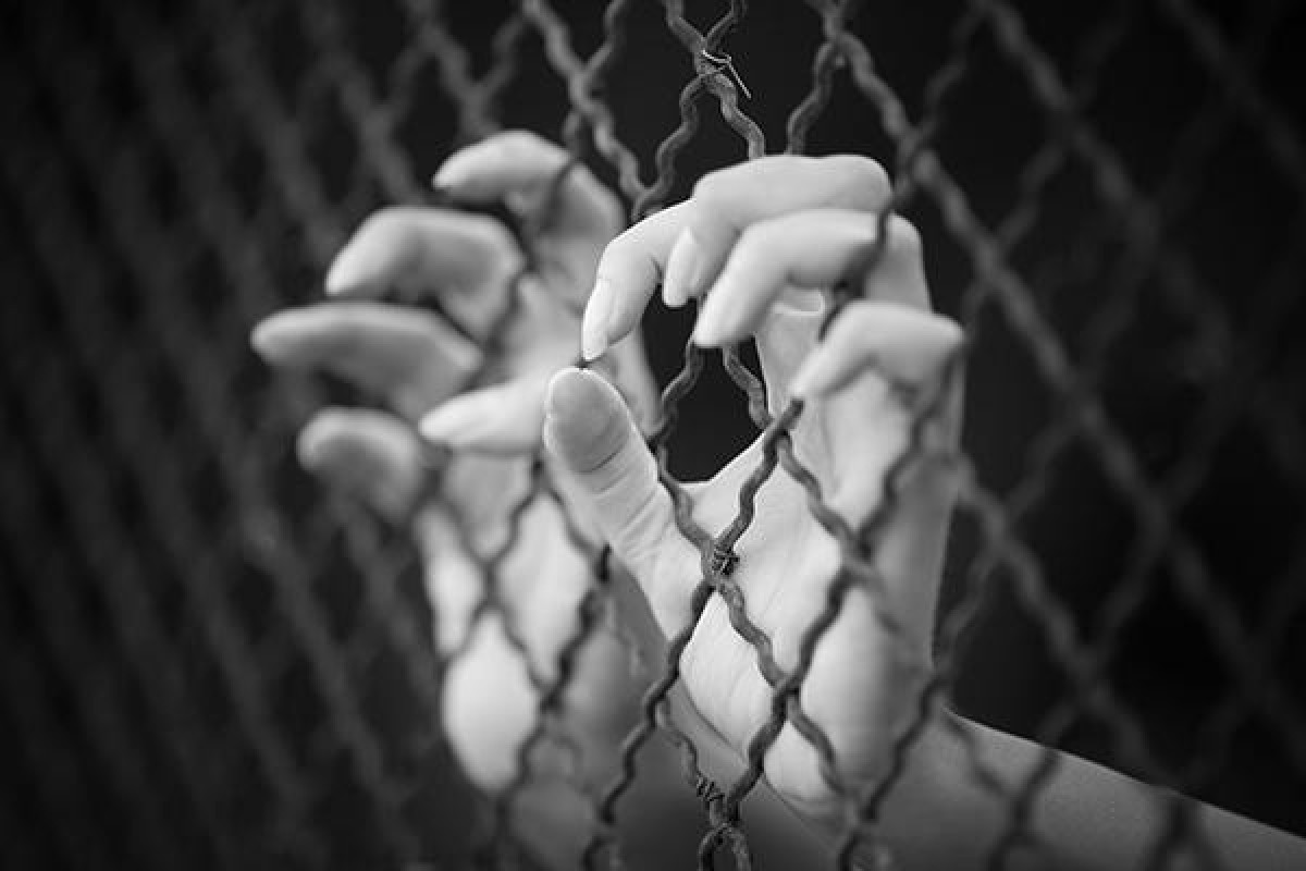 В Азербайджане социальную реабилитацию прошли 326 жертв торговли людьми