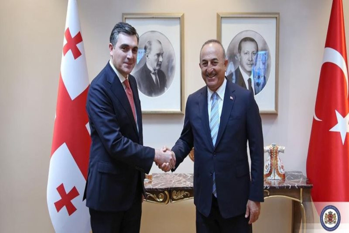 Обсужден турецко-азербайджано-грузинский формат сотрудничества