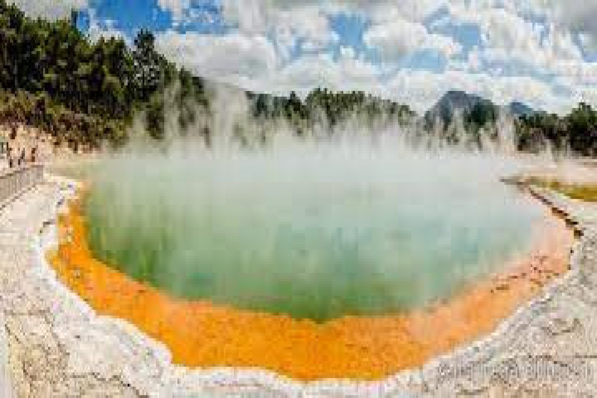Двое туристов из Австралии упали в геотермальный источник в Новой Зеландии