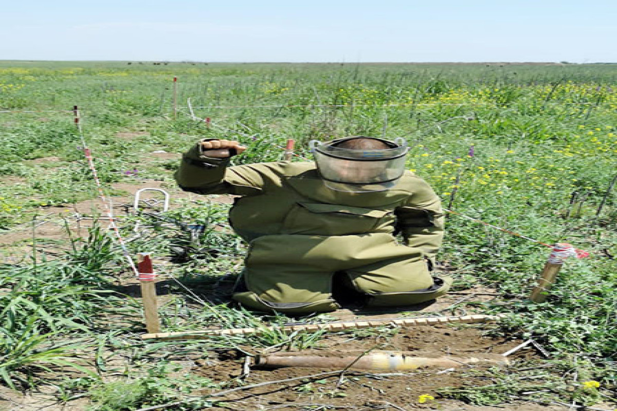 Azerbaijani MoD: "2300 ha of area cleared of mines last month"