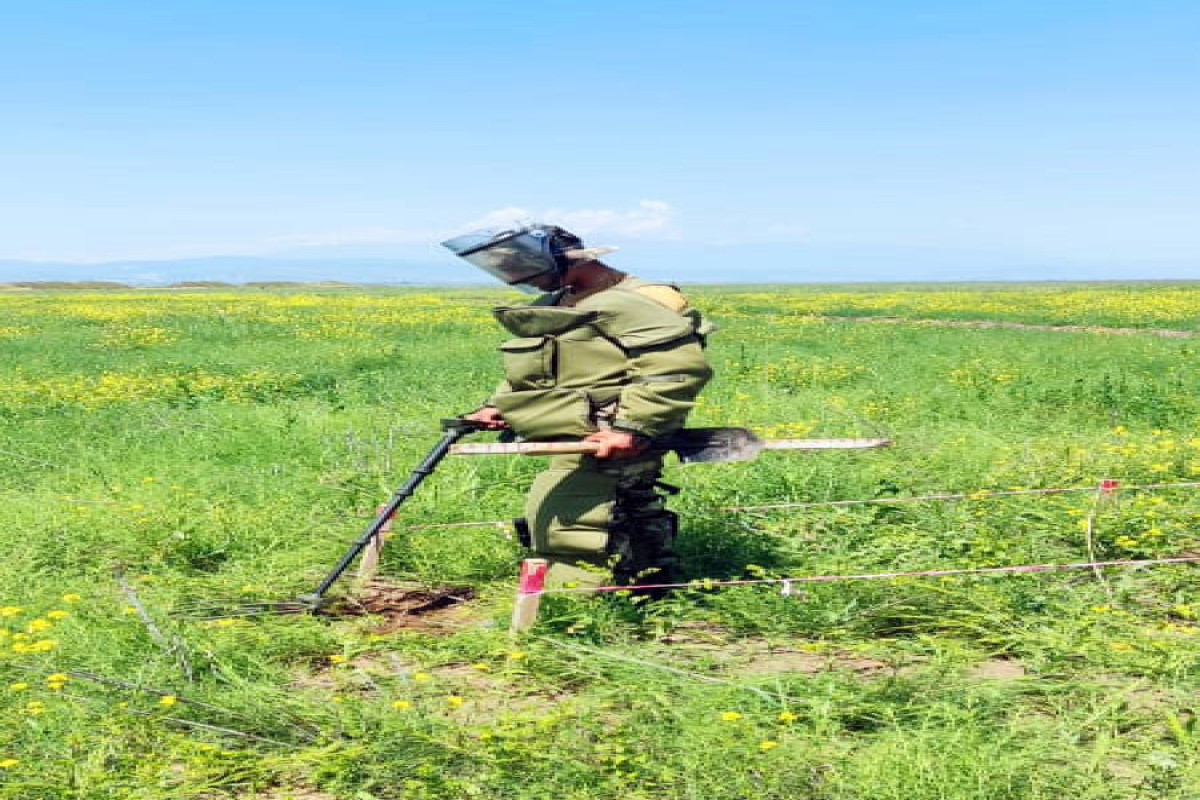 Azerbaijani MoD: "2300 ha of area cleared of mines last month"