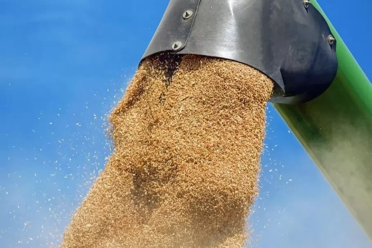 Россия заявила о готовности пропустить суда с украинским зерном