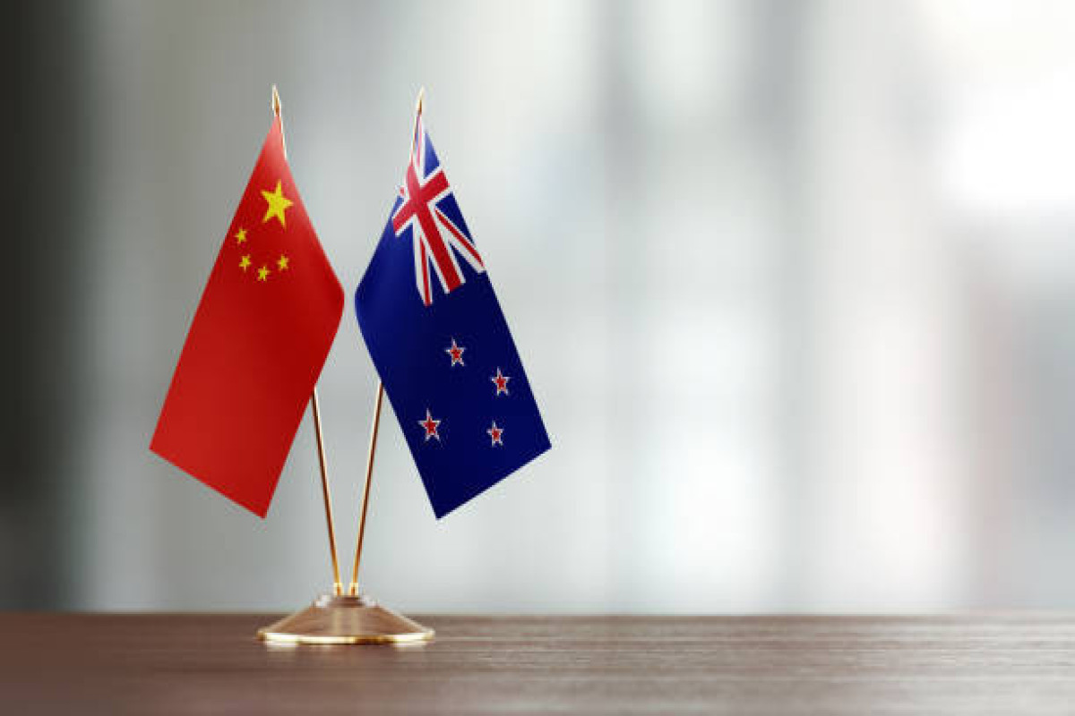 China ambassador, New Zealand foreign minister discuss relationship